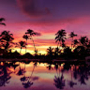 Meet your Posher, Noris